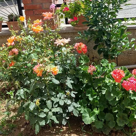 Appartement Sweet Aria