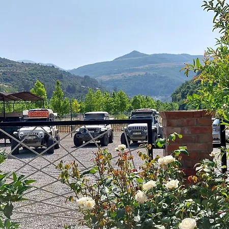 Sweet Aria * Corovode