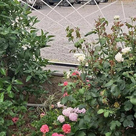 Sweet Aria Апартаменты Corovode