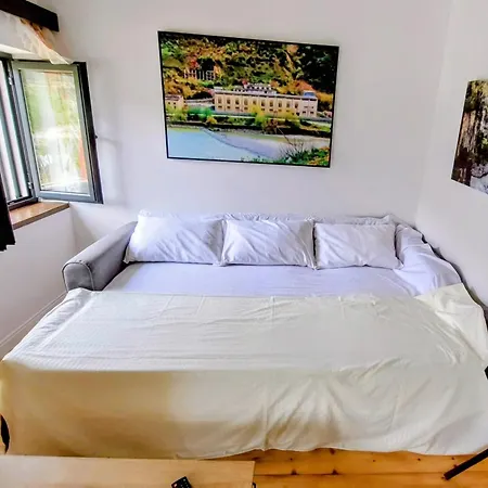 Sweet Aria * Corovode