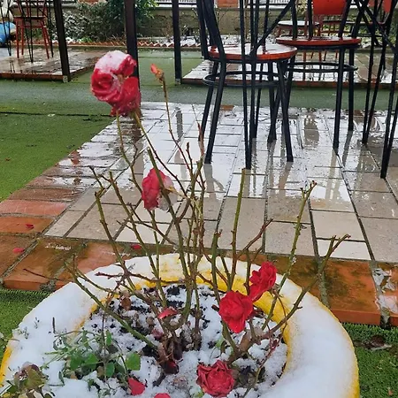 Sweet Aria Appartement