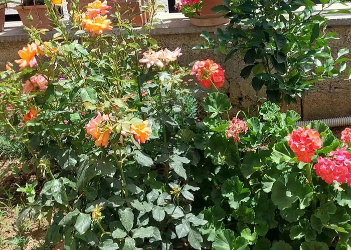 Apartment Sweet Aria