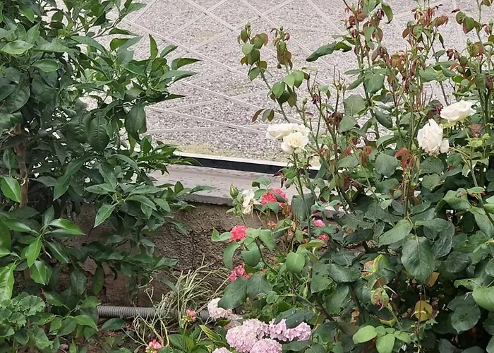 Sweet Aria Apartment Zhaban