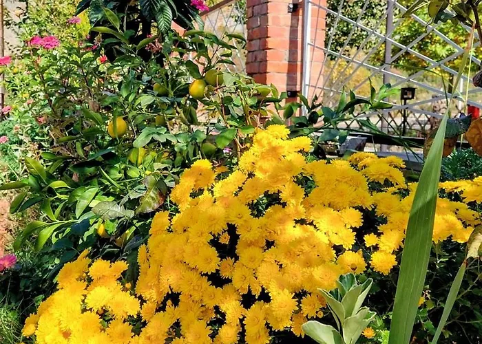 Sweet Aria Apartment Zhaban