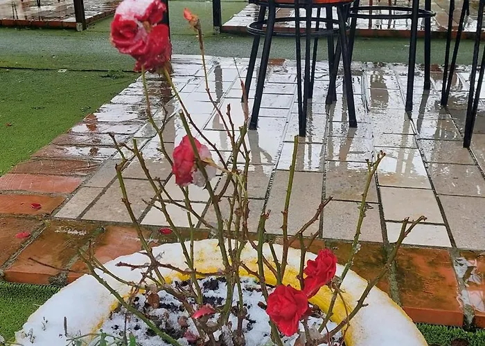 Sweet Aria Apartment